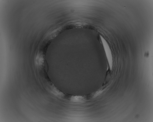 X0000090860137200708241907