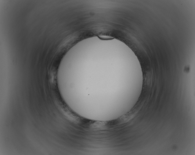 X0000090860138200708241907