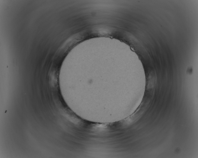 X0000090860140200708241907