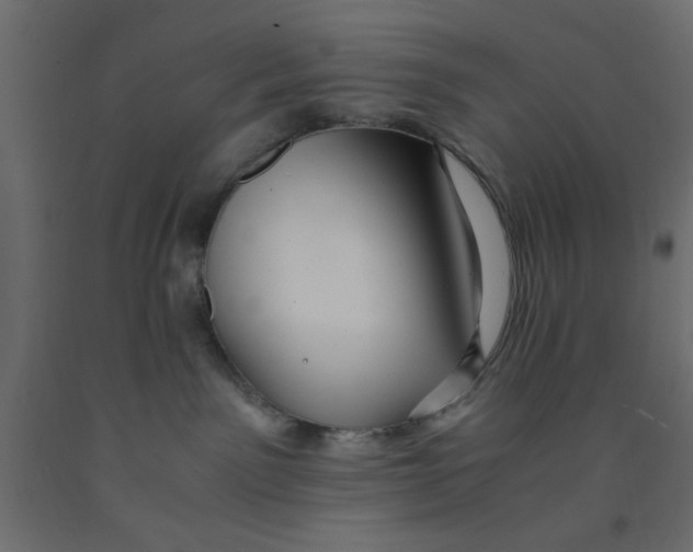 X0000090860141200708241907