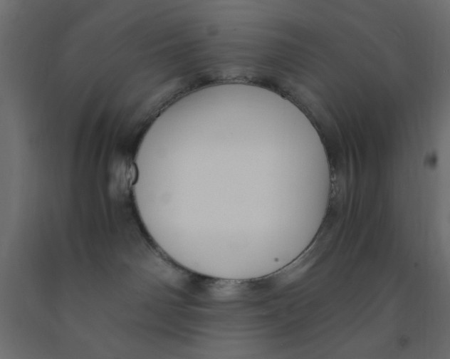 X0000090860142200708241907