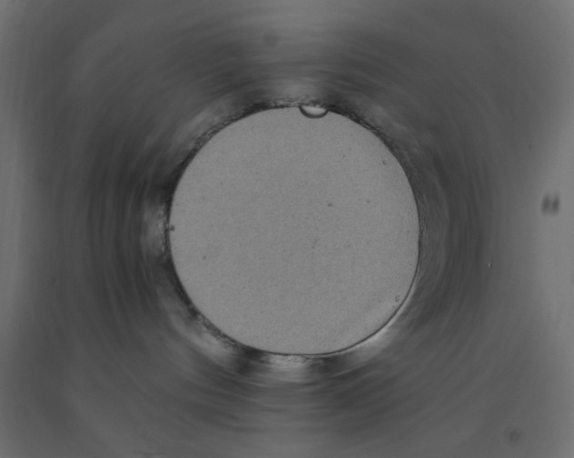 X0000090860144200708241907