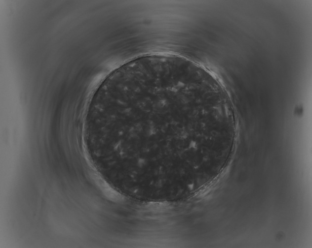 X0000090860145200708241906