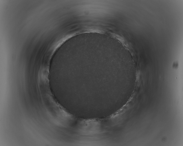 X0000090860146200708241906