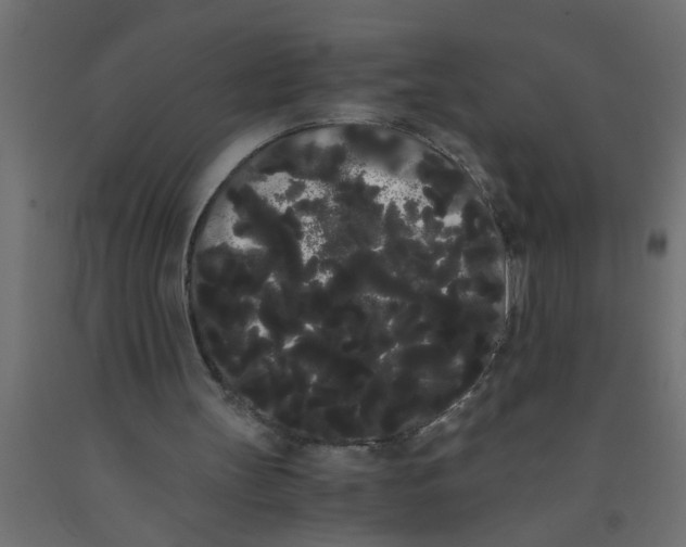 X0000090860147200708241906