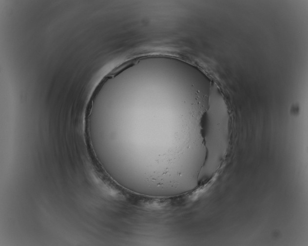 X0000090860148200708241906