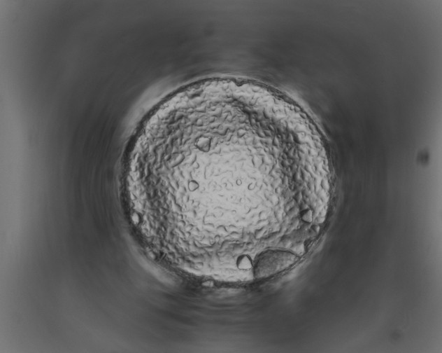 X0000090860151200708241906