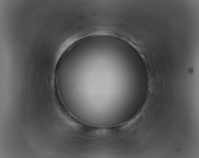 X0000090860152200708241906