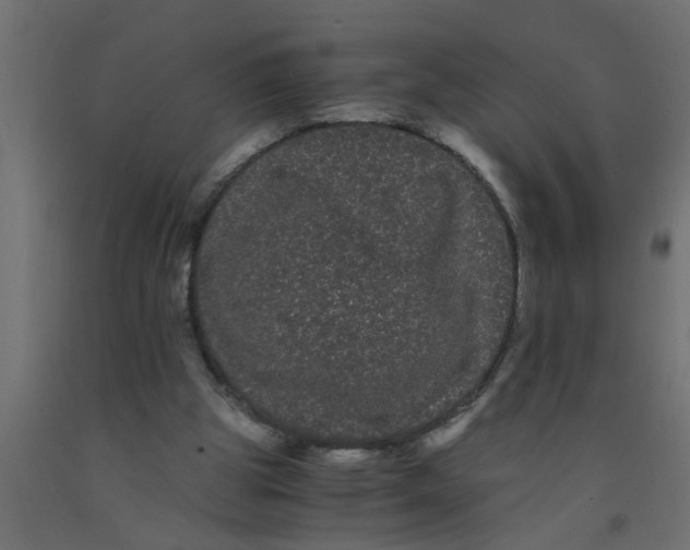 X0000090860153200708241906