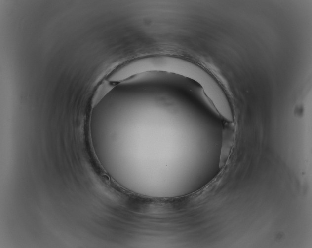 X0000090860154200708241906