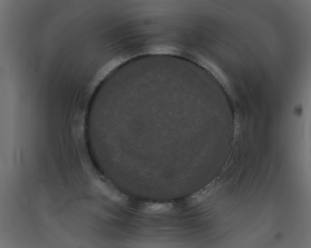 X0000090860155200708241906