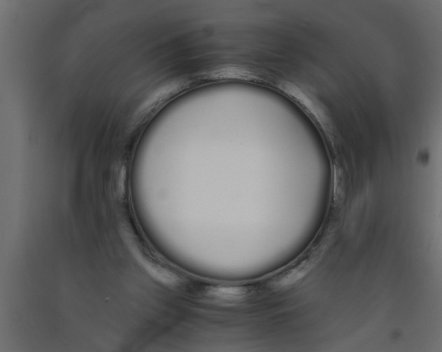 X0000090860157200708241906