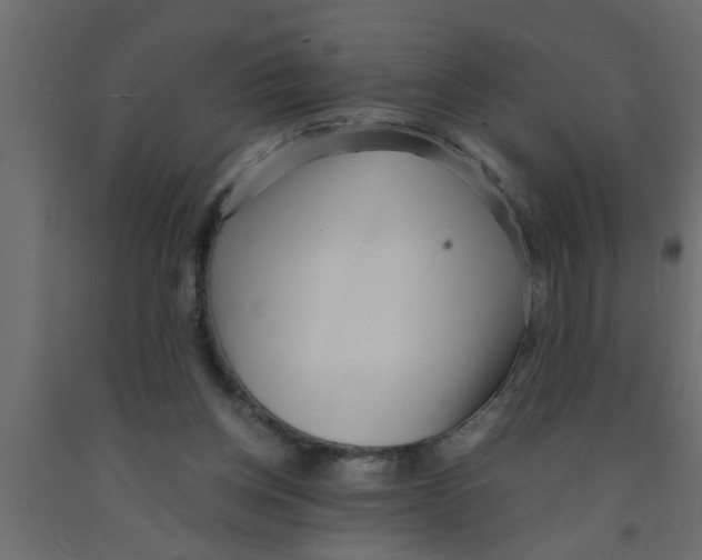 X0000090860158200708241906