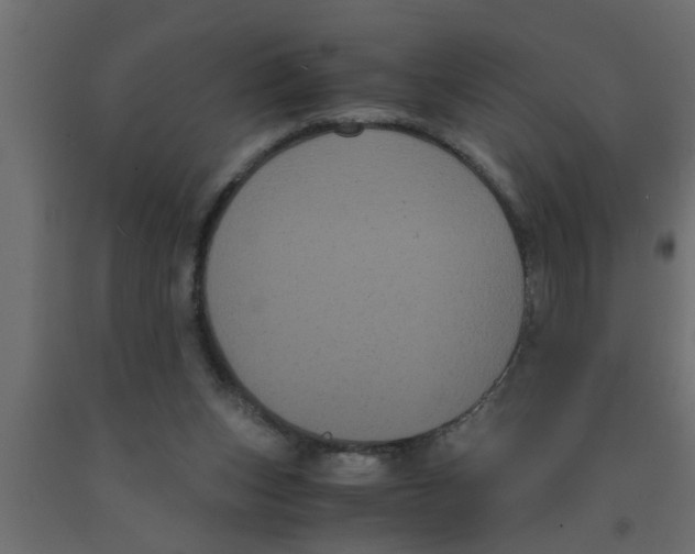 X0000090860159200708241906