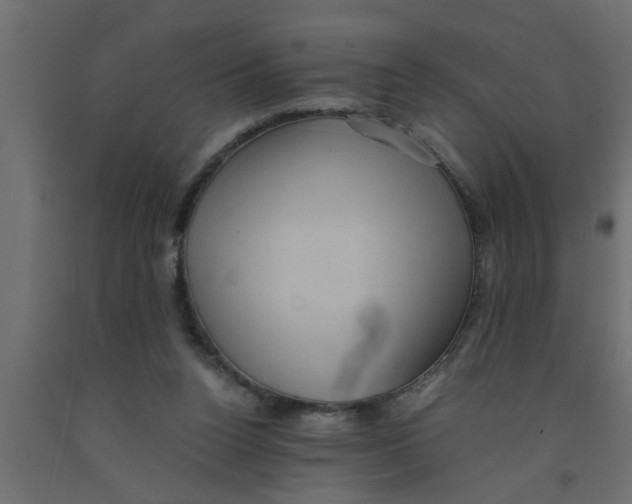 X0000090860160200708241906