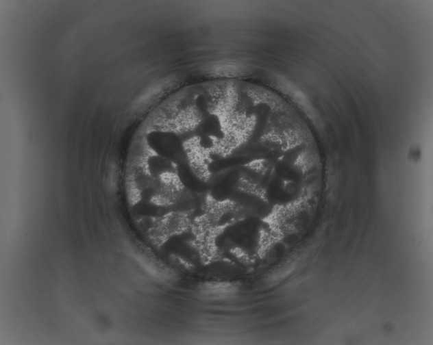 X0000090860161200708241906