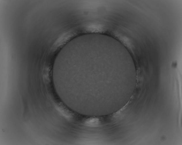 X0000090860162200708241906