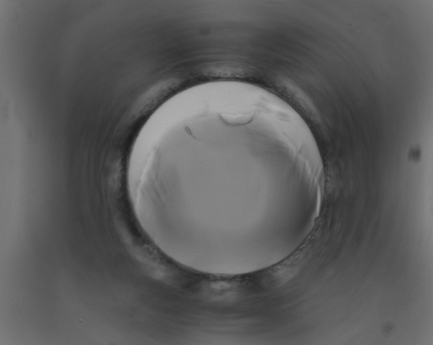 X0000090860163200708241906