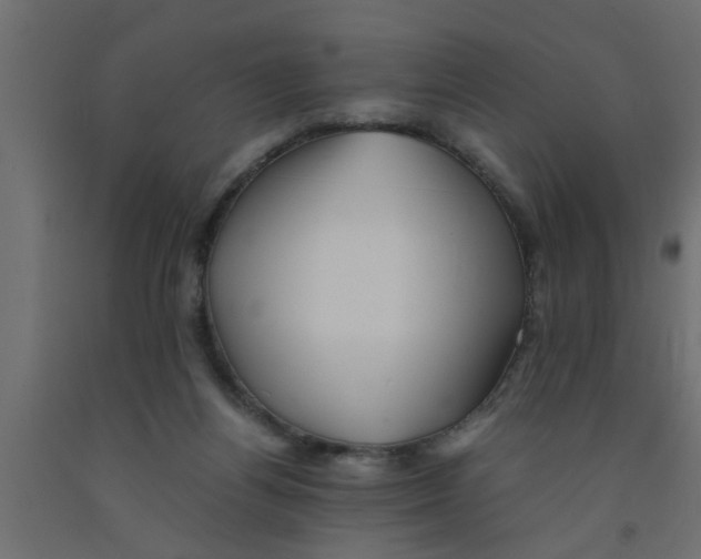 X0000090860164200708241906