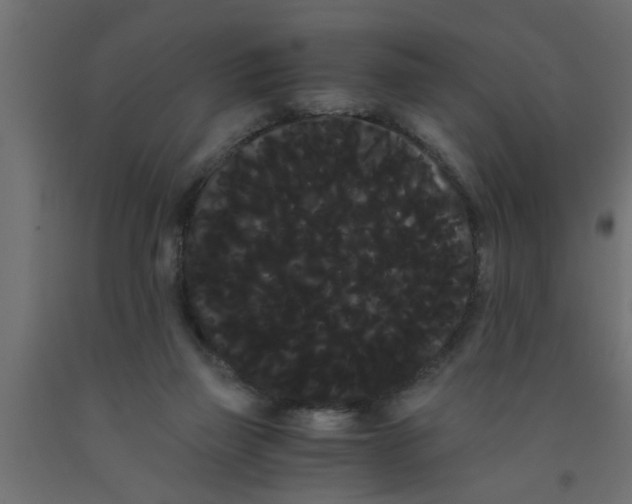 X0000090860165200708241906