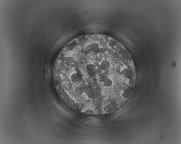 X0000090860166200708241906