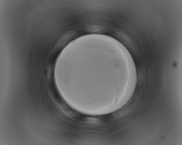 X0000090860167200708241906