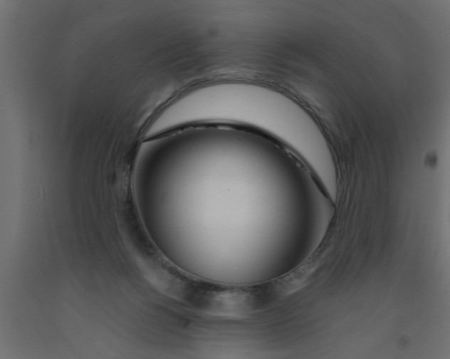 X0000090860168200708241906