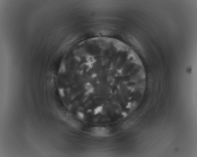 X0000090860169200708241906