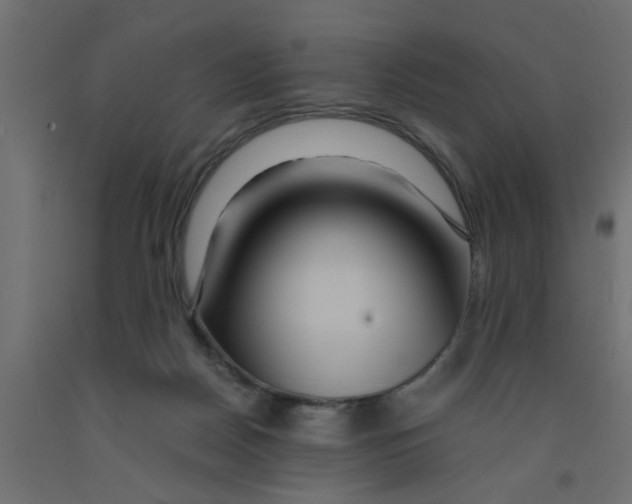 X0000090860170200708241906