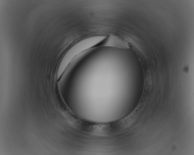 X0000090860172200708241907