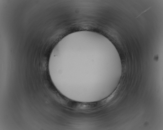 X0000090860174200708241907