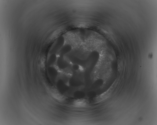 X0000090860175200708241907