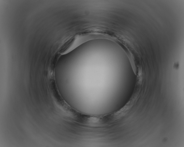 X0000090860176200708241907