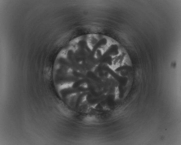 X0000090860177200708241907