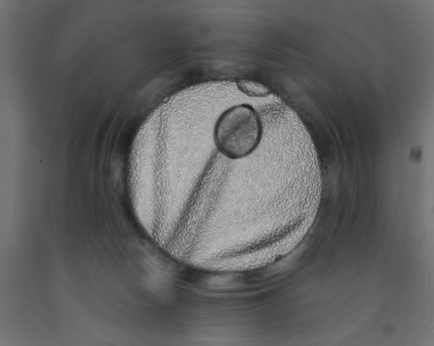 X0000090860178200708241907