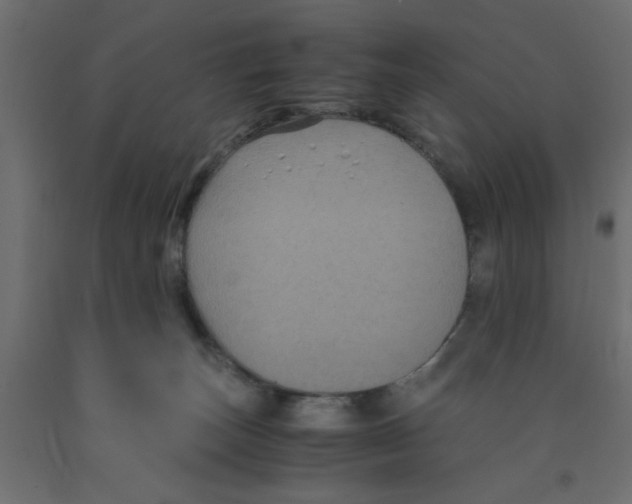 X0000090860179200708241907