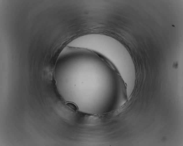 X0000090860180200708241907