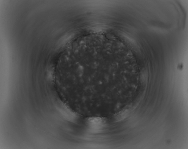 X0000090860181200708241907