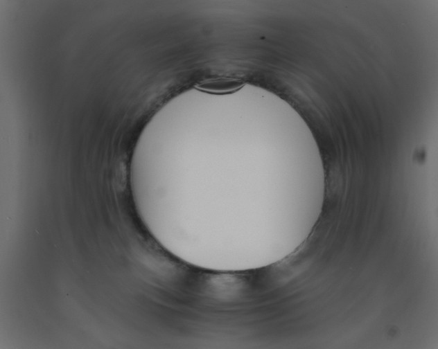 X0000090860183200708241907