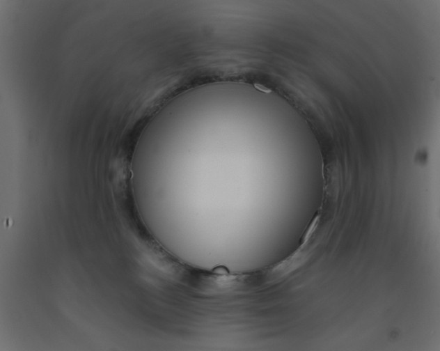 X0000090860184200708241907