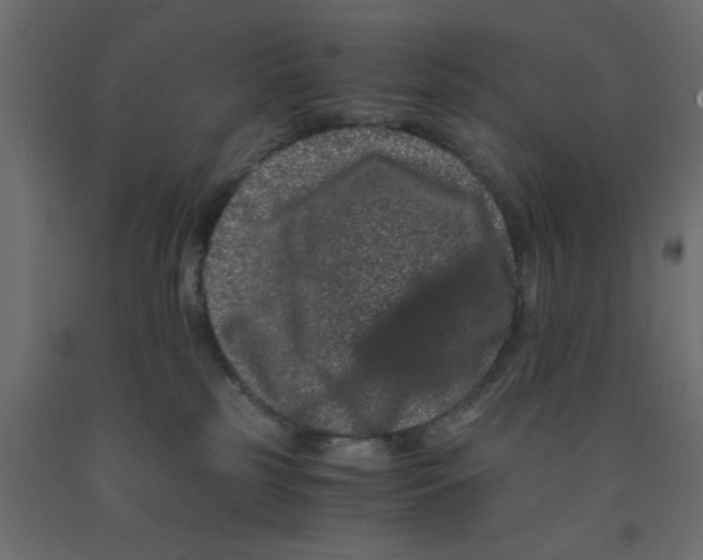 X0000090860185200708241907