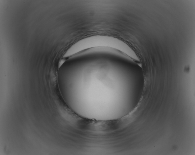 X0000090860186200708241907