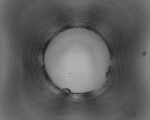 X0000090860187200708241907