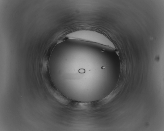 X0000090860188200708241907