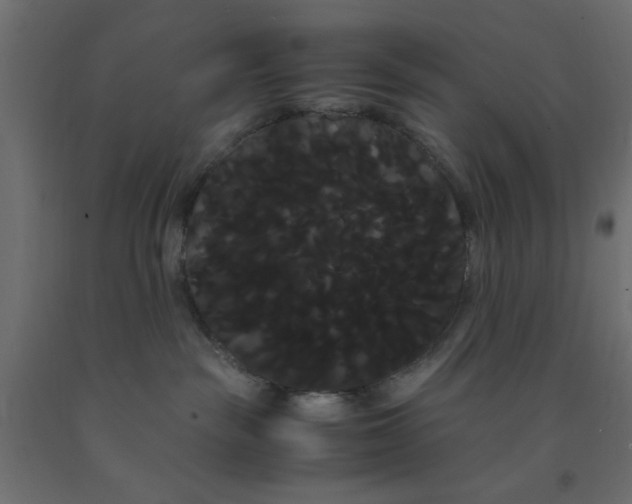 X0000090860189200708241907