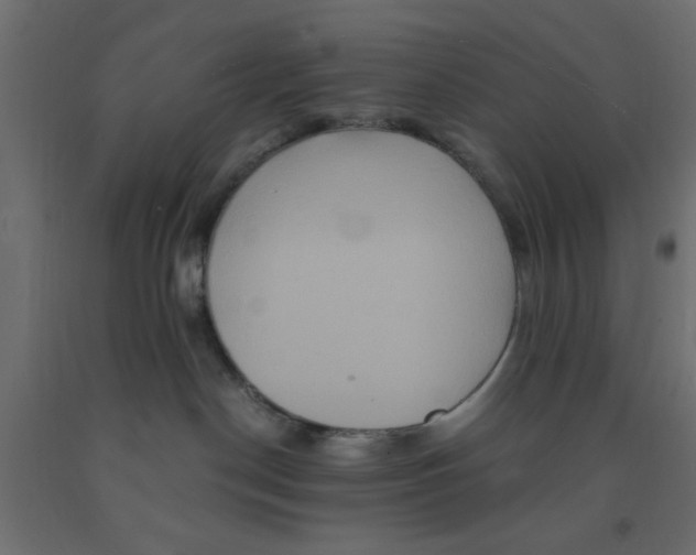 X0000090860190200708241907