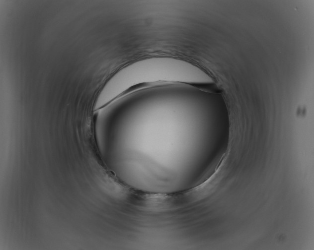 X0000090860192200708241907