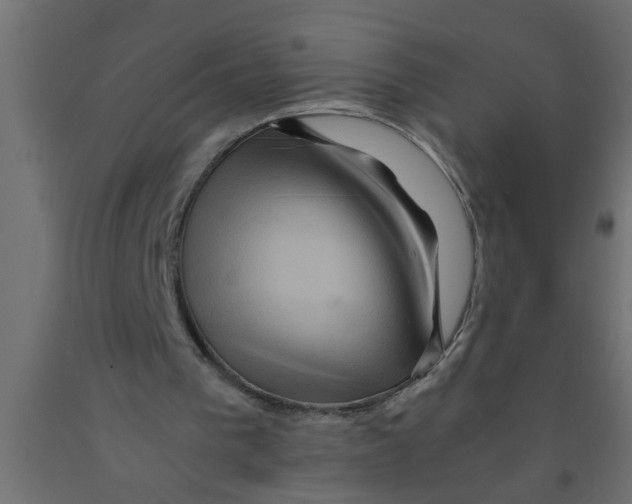 X0000090860193200708241906