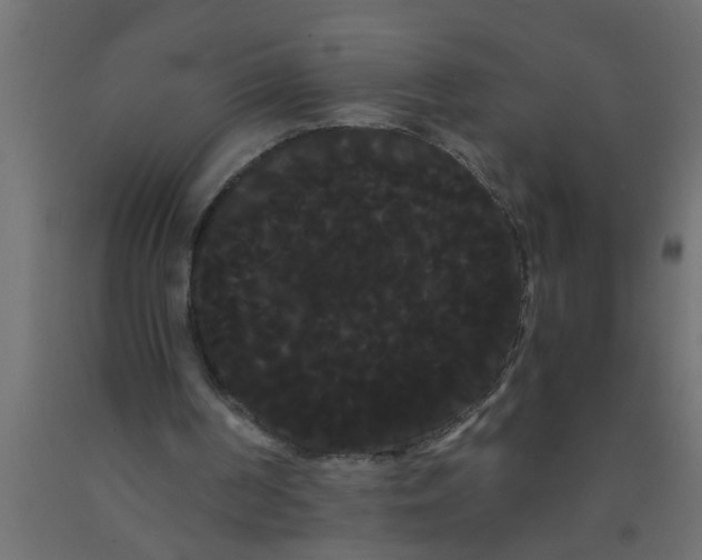 X0000090860194200708241906