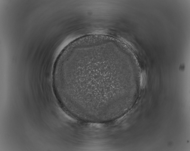 X0000090860195200708241906